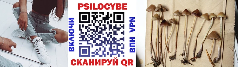 Галлюциногенные грибы прущие грибы  Бокситогорск 